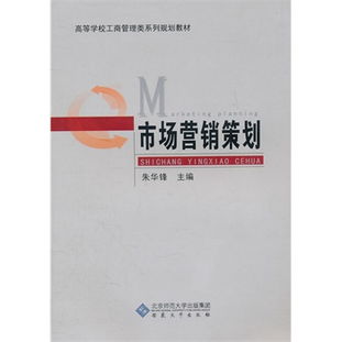 市场营销策划 战略、执行与优化