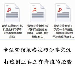 整合营销策略 从策划到执行的实战路径与案例解析