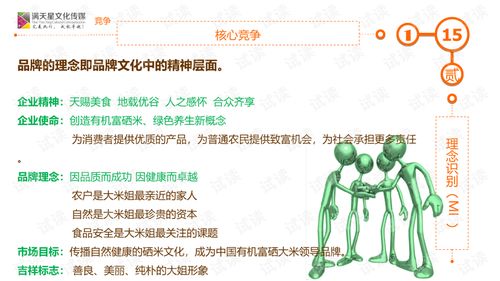 大米姐品牌营销策划案商业计划书